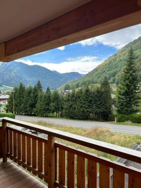 Les Chalets de Montriond B101